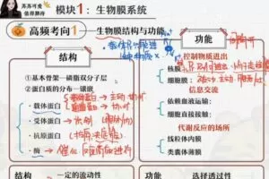 苏萧伊 高三生物2022年寒假尖端班 