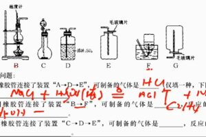 孙老师初中化学拓展2021暑假班 