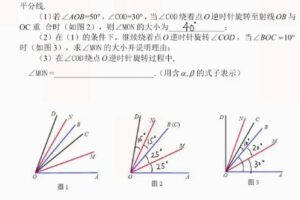 杨琦 初一数学校内秋季拔高班