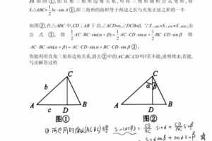 杨琦 九年级数学新思维刷题课