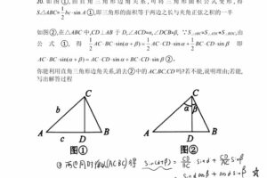 杨琦 九年级数学新思维刷题课