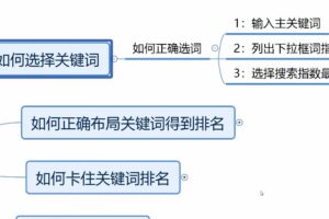 多卖联盟·抖音搜索置顶优化，价值599元