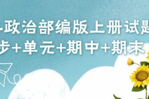 初二政治部编版上册试题（同步+单元+期中+期末） 