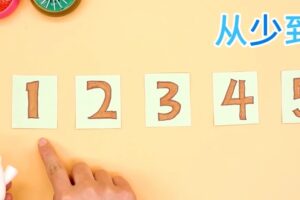 方块熊STEAM数学思维启蒙课（完结）