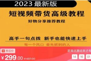 2023短视频好物分享带货，好物带货高级教程，高手一句点拨，新手也能快速上手