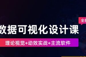 数据可视化设计课-全能合集2020【画质高清有素材】