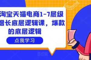 大圣淘宝天猫电商1-7层级盈利增长底层逻辑课，爆款的底层逻辑