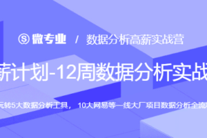 网易-涨薪计划12周数据分析实战营|2022年|价值6698元|重磅首发|完结无秘