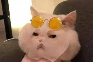 朱丹速写基础课【画质一般】