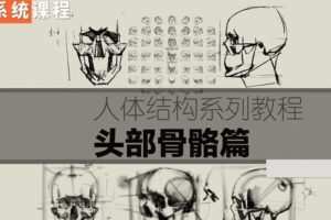 祝凯素描课程·硬性知识·头部骨骼【画质普通】