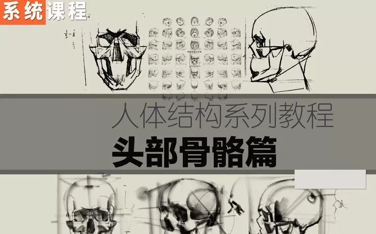 祝凯素描课程·硬性知识·头部骨骼【画质普通】