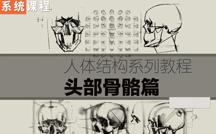 祝凯素描课程·硬性知识·头部骨骼【画质普通】