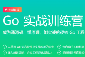 极客-Go实战训练营0期|价值5999元|2022年|重磅首发|包更新|无秘13周