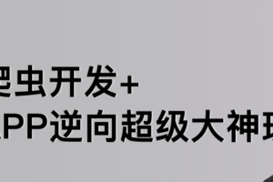 路飞-爬虫开发+APP逆向超级大神班1-7班|价值4999元|2022年|课件完整|无秘包更新