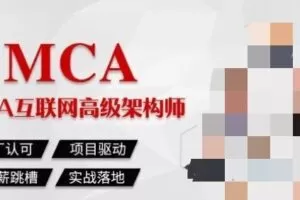 马士兵-Java高级互联网架构师|1-7班|2022年价值19800元|完结无秘