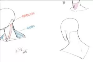 电池子人体解析课【画质不错只有视频】