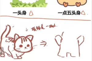 豆子老师2022萌新也能画人物之Q版豆豆人ipad插画课【画质不错有笔刷和…