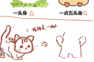 豆子老师2022萌新也能画人物之Q版豆豆人ipad插画课【画质不错有笔刷和…