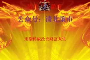 【清北游资】龙门实战特训营-缠龙内训课程 2023年