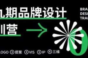 卢帅品牌设计特训营第9期2021年【画质高清有大部分素材】