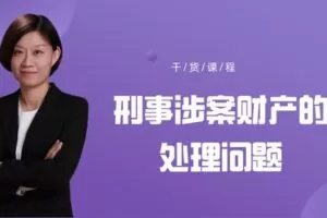 【捐赠[红包]29.90·《YL2143-WDKT-刑事涉案财产的处理问题》】