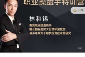 【捐赠49.9[红包]·《Z7510-惠选财经-林和锡——职业操盘手特训营》】