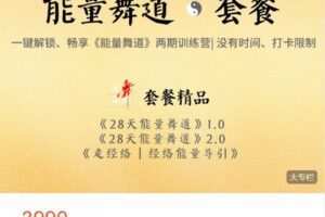 【捐赠[红包]69.99·《AL4780-清珍身心美院-能量舞道 ? 套餐 | 两期28天训练营+走经络》】