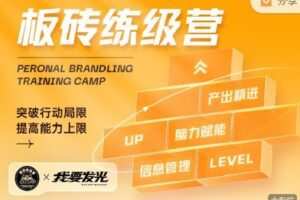【捐赠[红包]49.99·《AL2238-我要发光-板砖训练营：用一年时间成为专业的人》】