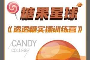 【捐赠39.9[红包]·《Z1106-透透糖所有课程分类》】