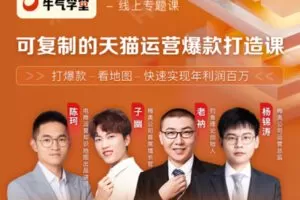 【捐赠39.9[红包]·《Z1225-牛气学堂-可复制的天猫运营爆款打造课》】