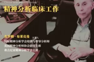 【100[红包]·S3482布莱克曼精神分析连续培训第1期】