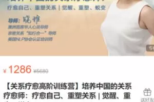 【39[红包]·S0386【关系疗愈高阶训练营】培养中国的关系疗愈师