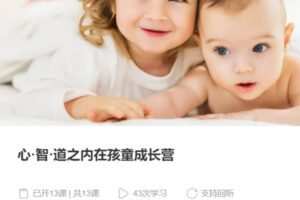 【80[红包]·S3951心·智·道之内在孩童成长营】