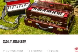 【30[红包]·S3983哈姆尼初阶课程】