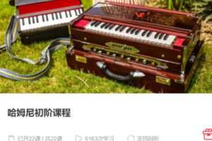 【30[红包]·S3983哈姆尼初阶课程】