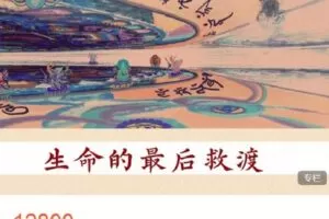 【捐赠[红包]159.99·《AL4641-圆成生命-生命的最后救渡》】