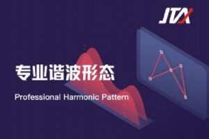【捐赠[红包]199.00·《Z0630-杰克交易学院JTA-专业谐波形态》】