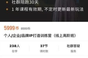 【捐赠79.9[红包]·《M0064-透透糖-个人-企业-品牌ip打造训练营（线上高阶班）》】