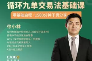 【捐赠39.9[红包]·《Z0701-FX168量化学院-动能和动能消耗学之循环九单交易法-基础课（入门）》】