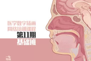 【捐赠69.9[红包]·《Z4596-一目可视-医学插画网络班·第11期·基础班》】