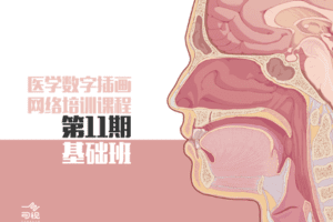 【捐赠69.9[红包]·《Z4596-一目可视-医学插画网络班·第11期·基础班》】