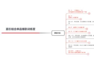 捐赠29.9[红包]·D0492-2022《阿呆电商直引结合单品爆款特训营（第一期）》