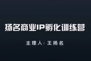捐赠29.9[红包]·D0507-2022《王扬名商业IP孵化训练营》