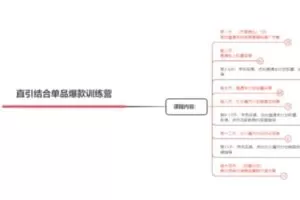 【捐赠29.9[红包]·《D0492-阿呆电商直引结合单品爆款特训营（第一期）》】