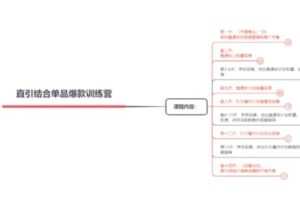 【捐赠29.9[红包]·《D0492-阿呆电商直引结合单品爆款特训营（第一期）》】