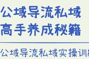 【捐赠29.9[红包]·《D0495-公域转私域品牌训练营》】