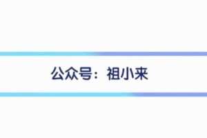 【捐赠19.9[红包]·《D0496-祖小来教辅项目》】