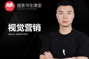 【捐赠49.9[红包]·《Z4951-搜索书生课堂-视觉营销》】 【原版无水印】