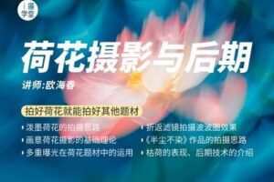 【捐赠9.9[红包]·《Z5001-i摄学堂-荷花摄影与后期》】 【原版无水印】