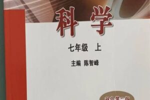 【捐赠[红包]39.90·《YL2168-正比例文化网课-罗老师带你走进重高（七上）》】